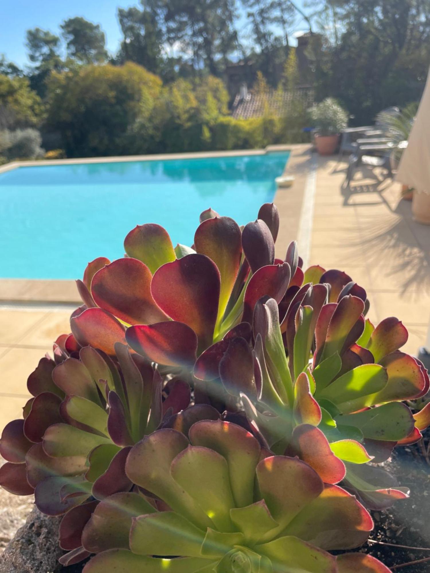 Apartamento O Coeur Des Ocres Roussillon en Isere Exterior foto