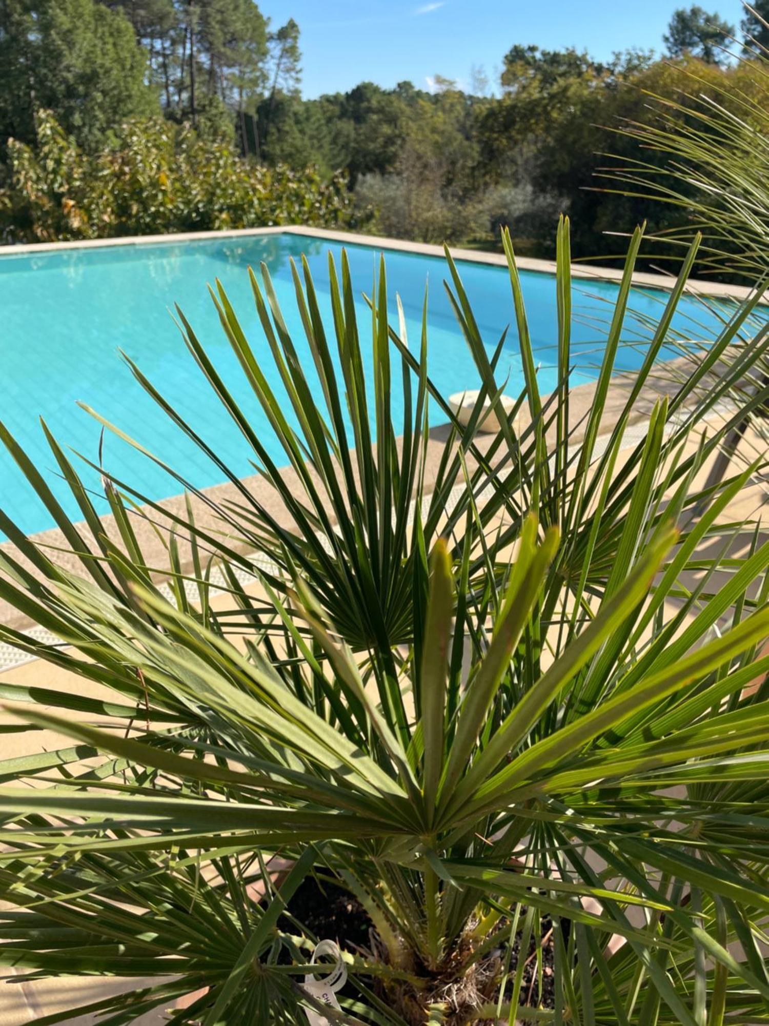 Apartamento O Coeur Des Ocres Roussillon en Isere Exterior foto